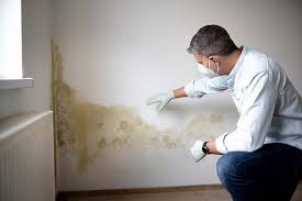  Palm Beach Shores, FL Mold Removal & Remediation Pros